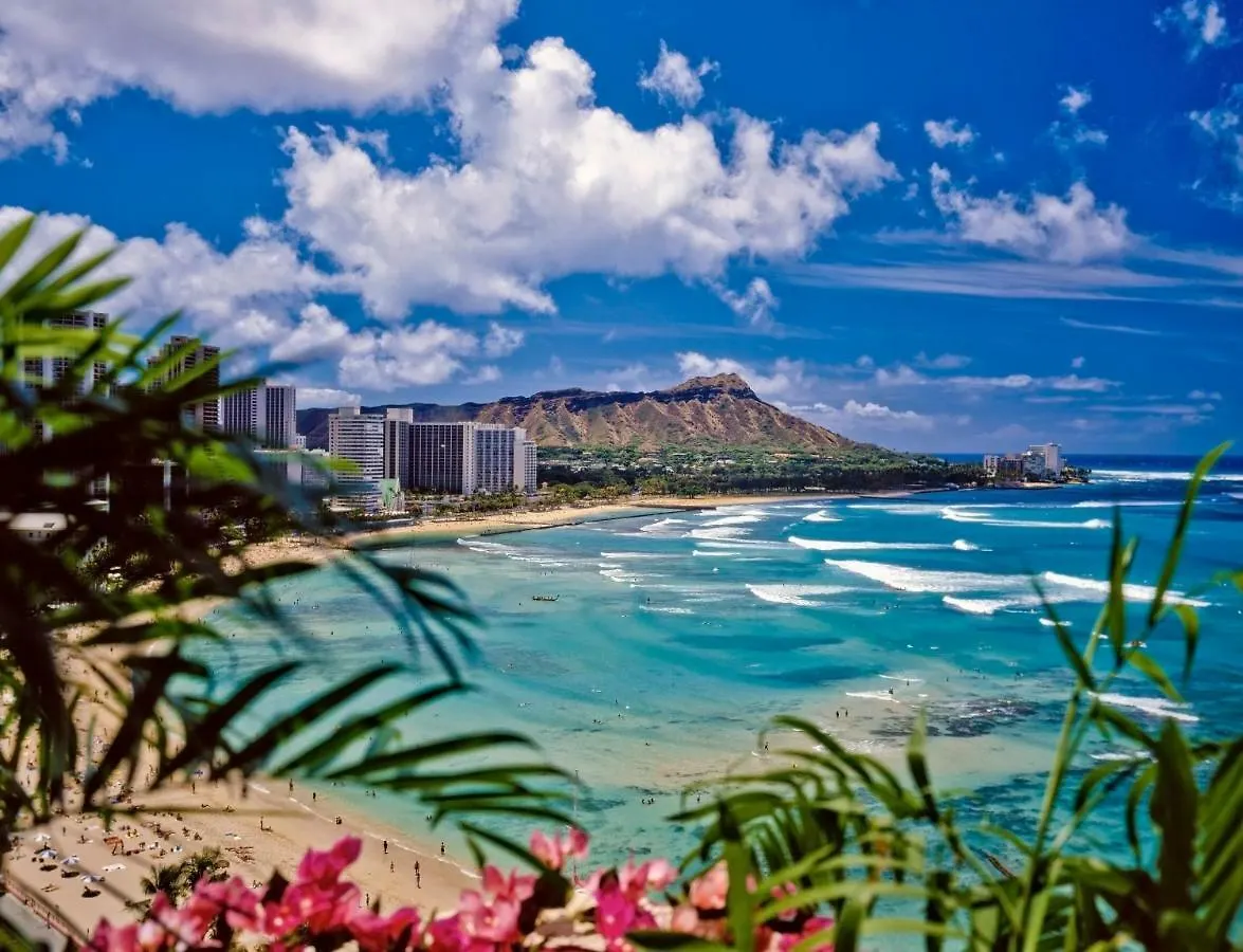 Apartment City View Studio With Pool Access In Aloha Surf! Honolulu